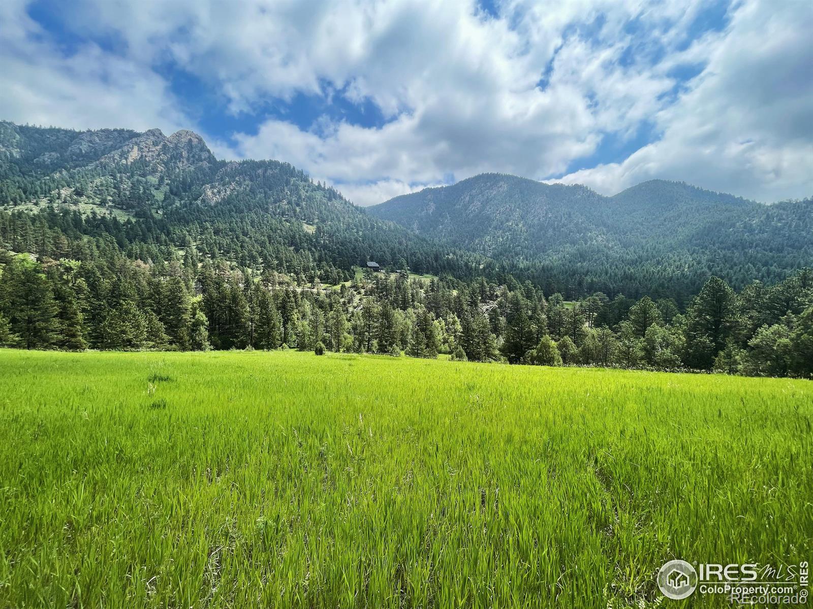 9590 E Highway 36, Lyons, CO, 80540 2 9590 E Highway 36