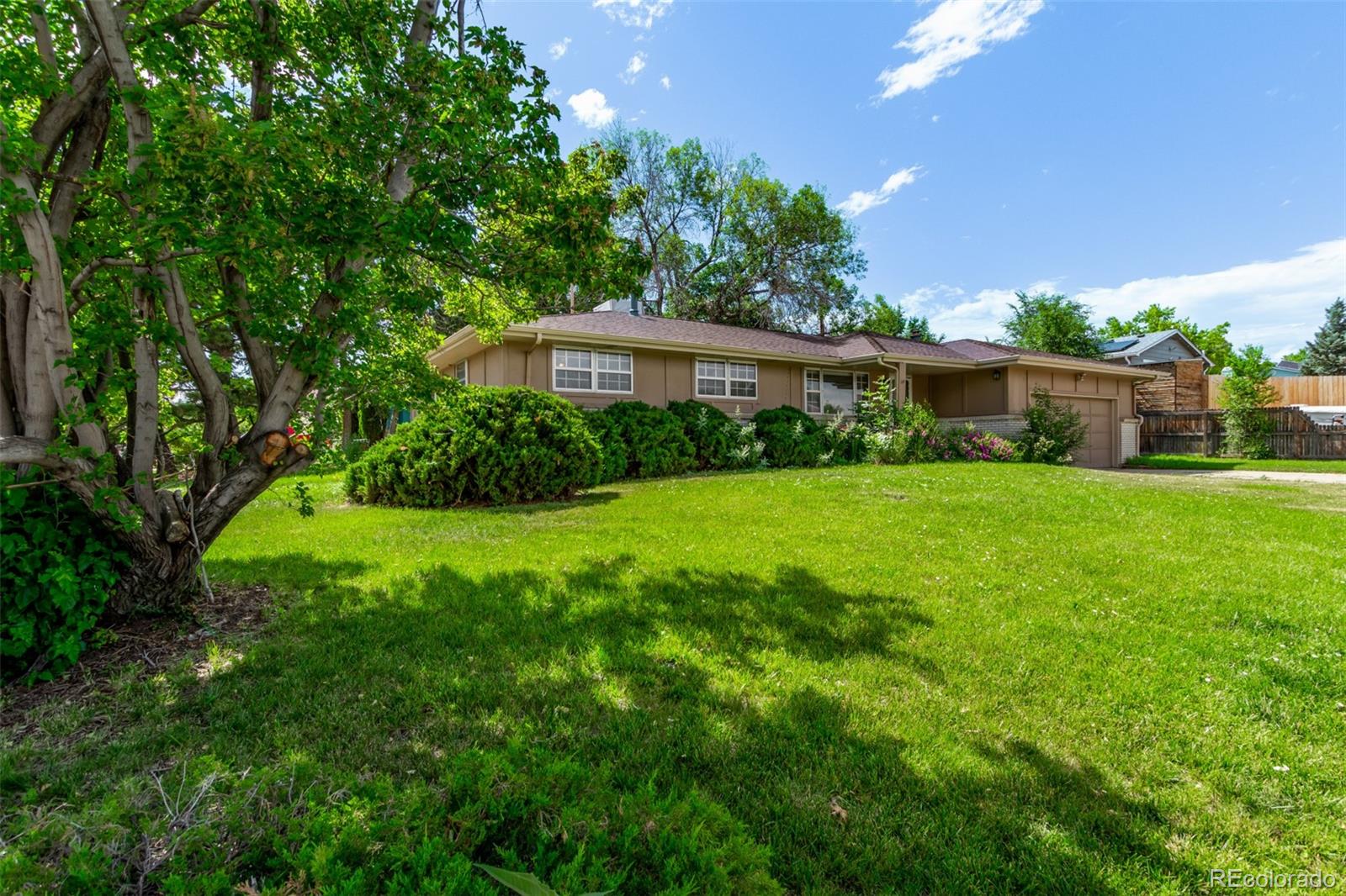 6131 Wolff Street, Arvada, CO, 80003 2 6131 Wolff Street