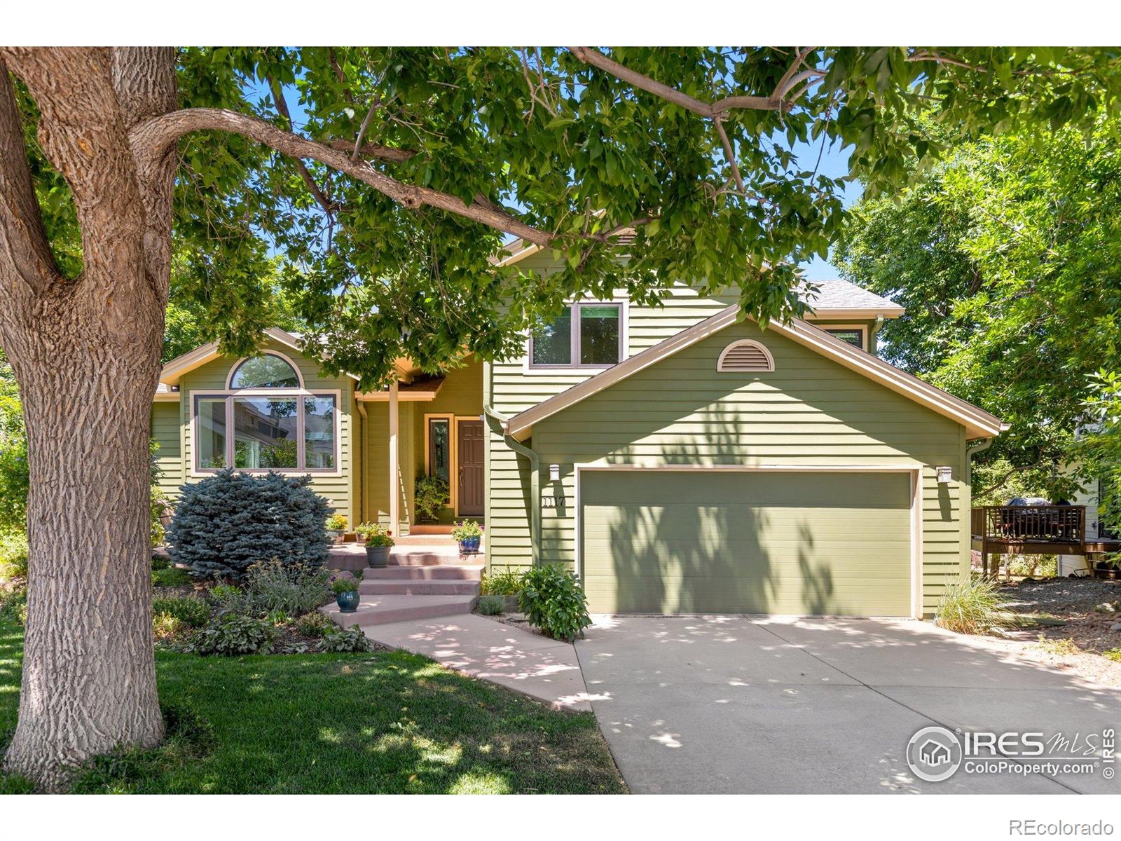 1117 Barberry Court
