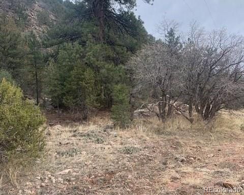 Unimproved Land in Colorado Springs CO 000 Barrett Road.jpg