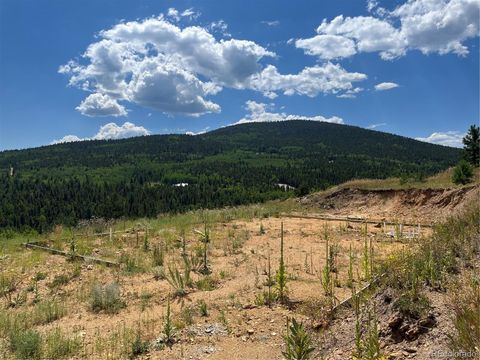 795 Russell Gulch Road Central City CO 80427