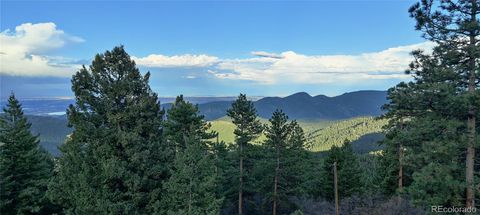 9648 Yegge Road Morrison CO 80465