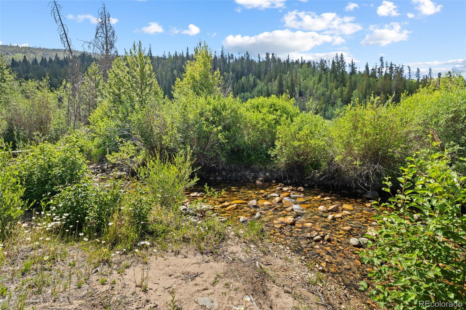 1054 Straight Creek Drive