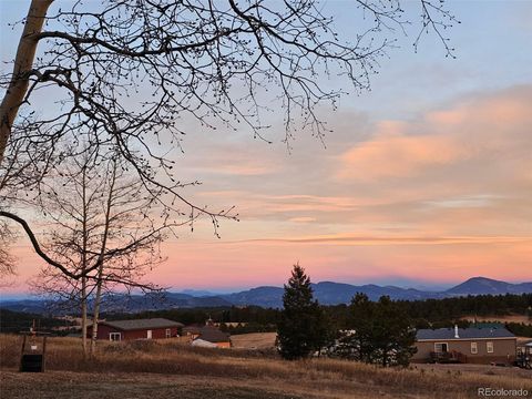 Photo of 103 Will Stutley Drive, Divide, CO 80814 (MLS # 7072047)