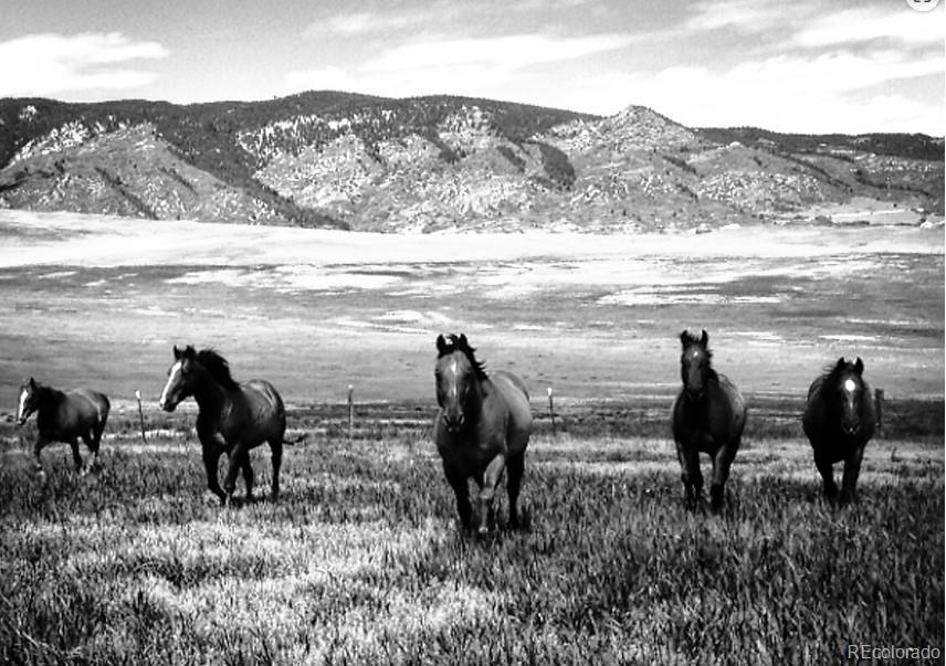 5499 Remuda Ranch, Sedalia, CO, 80135 5499 Remuda Ranch