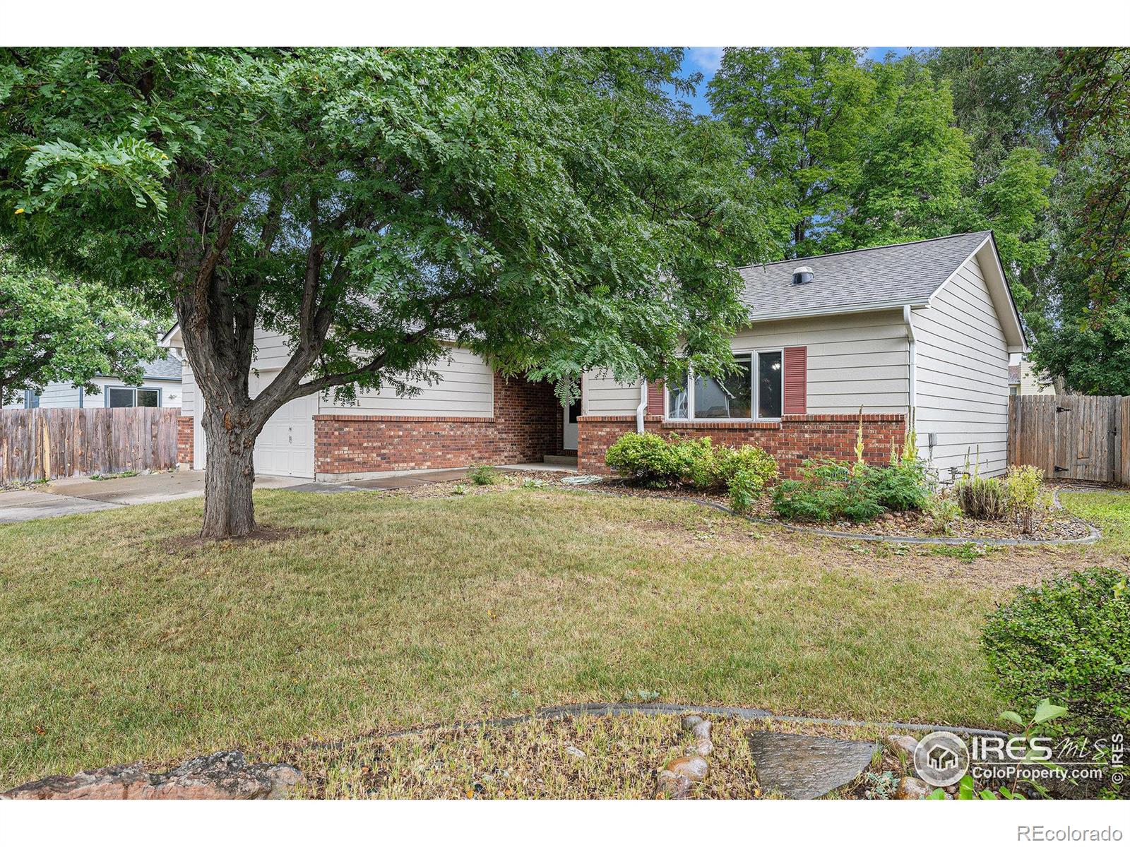 1431 Clementine Court