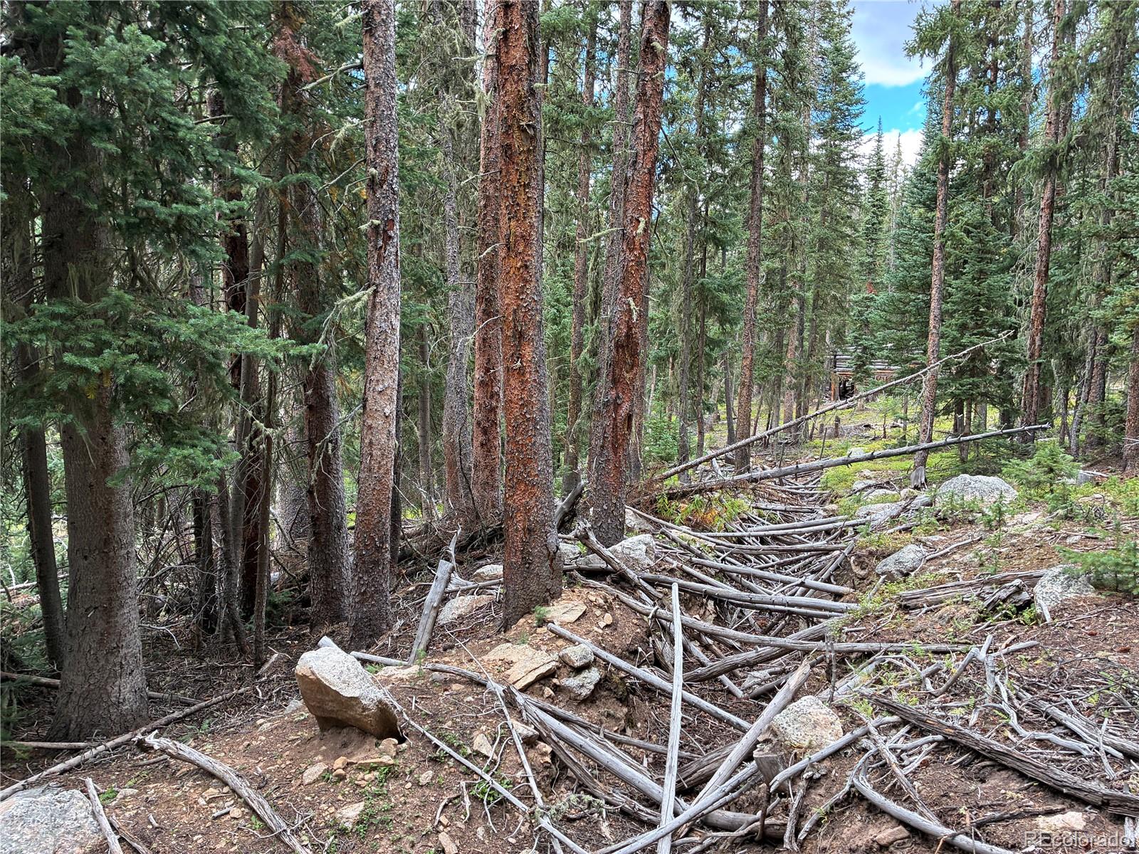 LOT 6621` Clinton Road