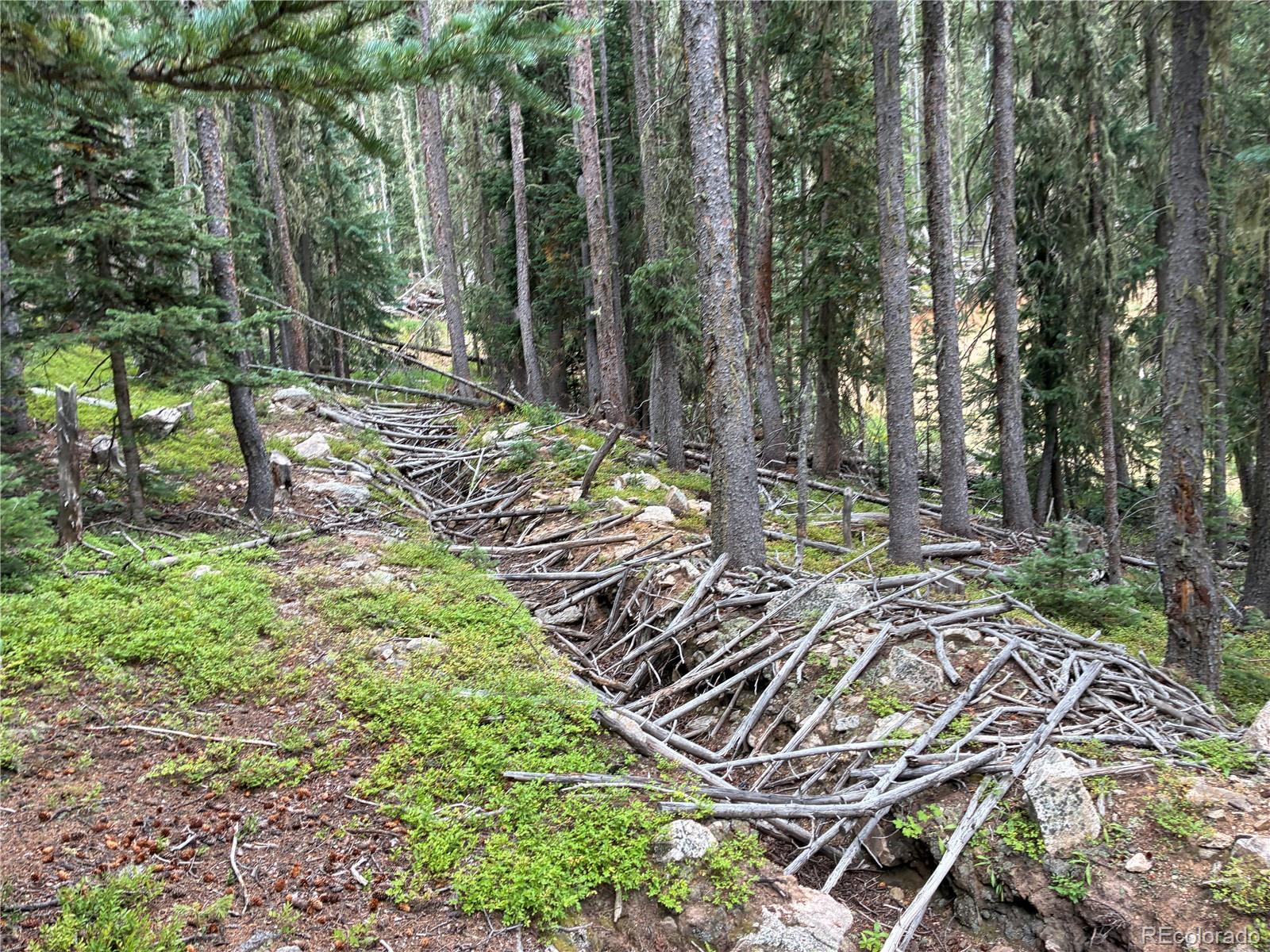 LOT 6621` Clinton Road