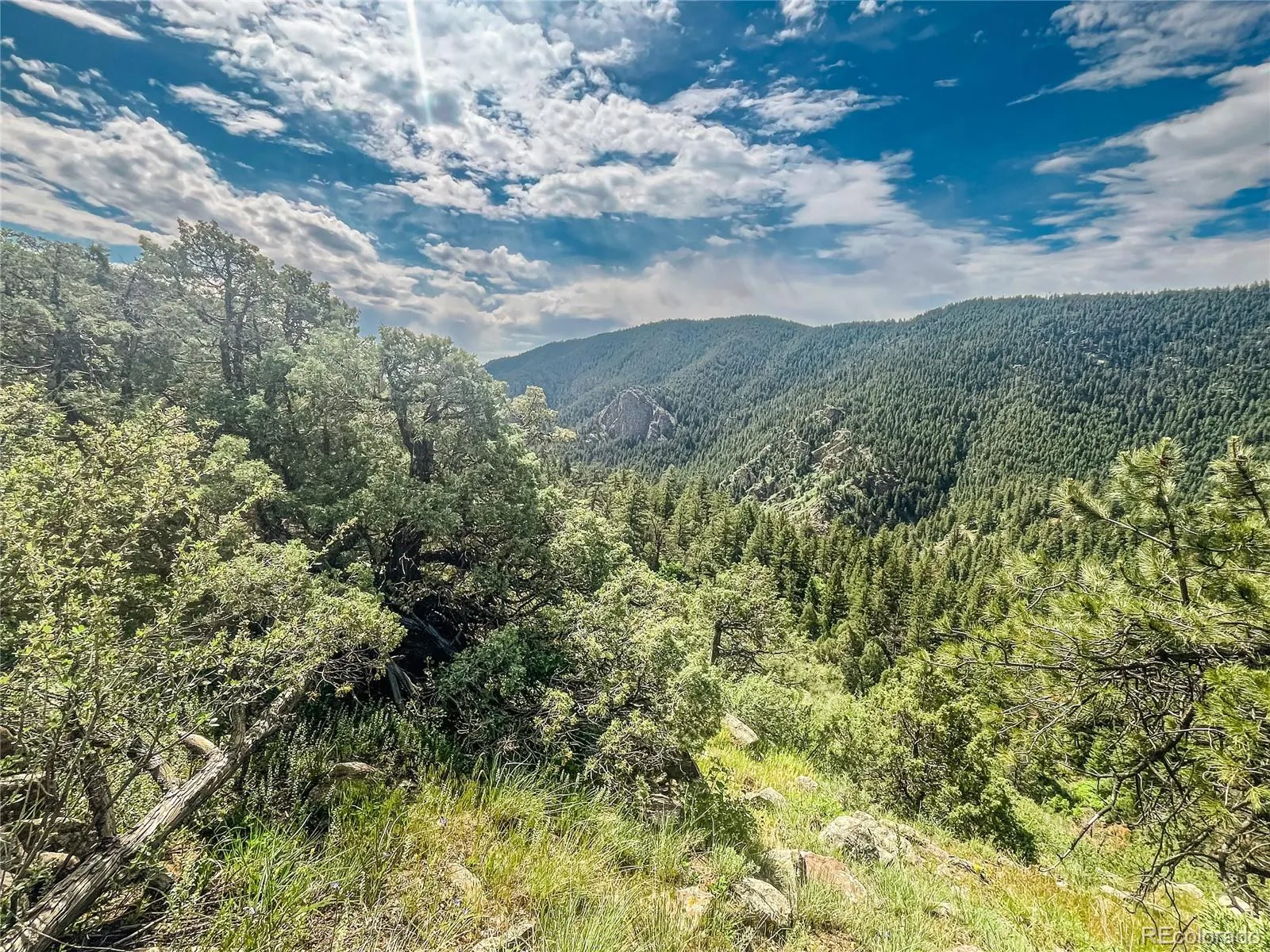 Morrison, Colorado 80465, United States, ,Land,Active,150032