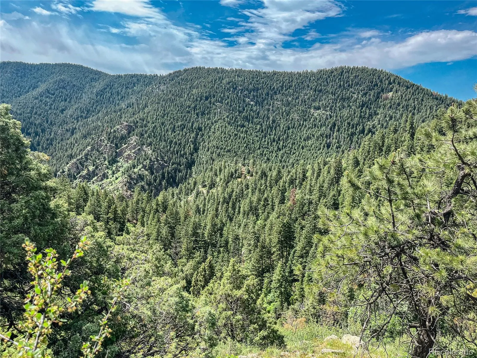 Morrison, Colorado 80465, United States, ,Land,Active,150032