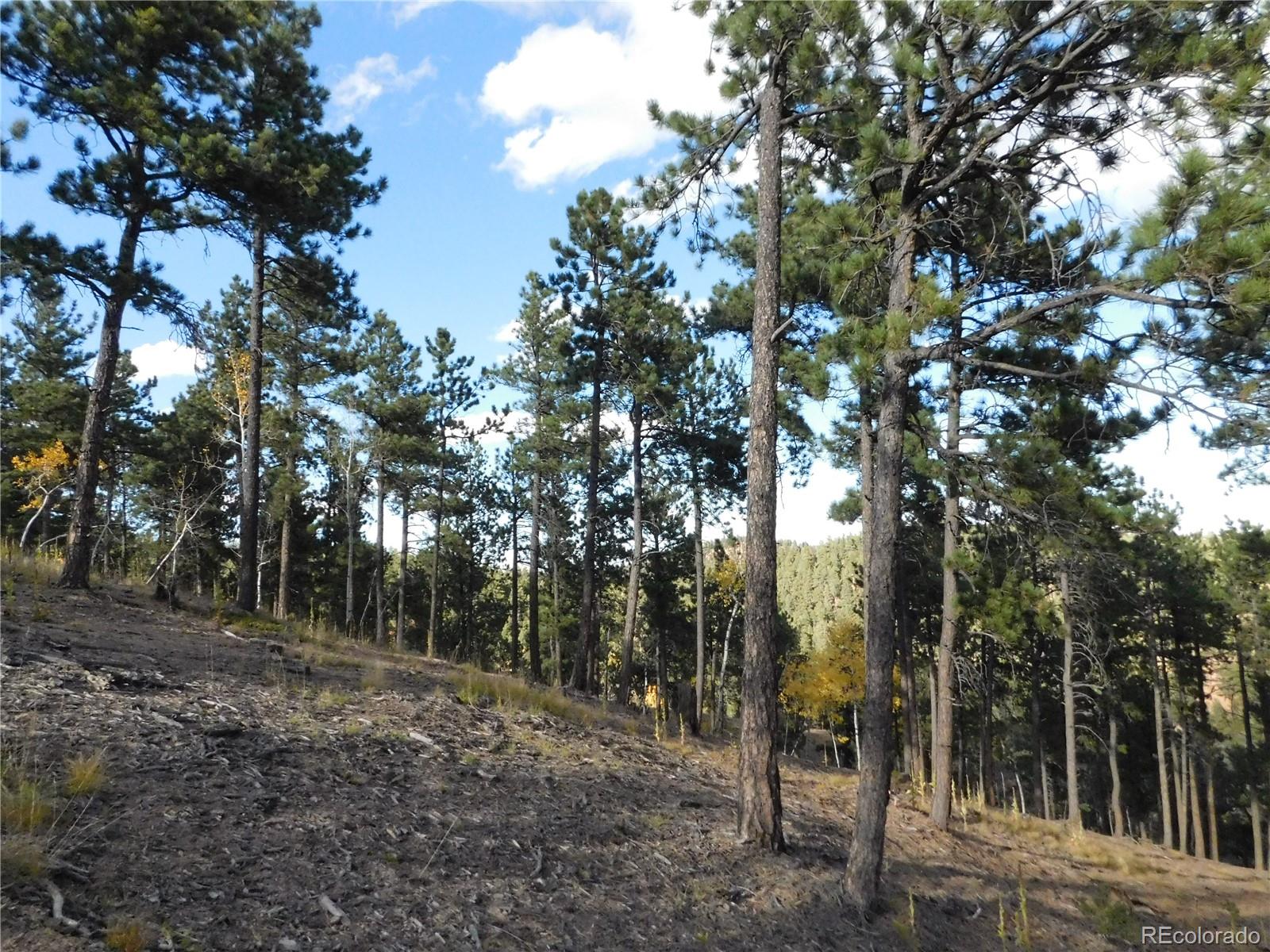 13910 Boulder Lane, Larkspur, CO, 80118 13910 Boulder Lane