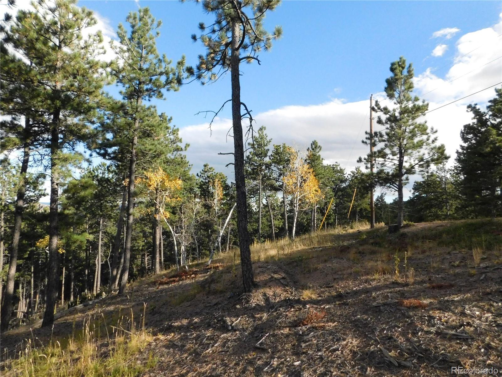 13910 Boulder Lane, Larkspur, CO, 80118 13910 Boulder Lane