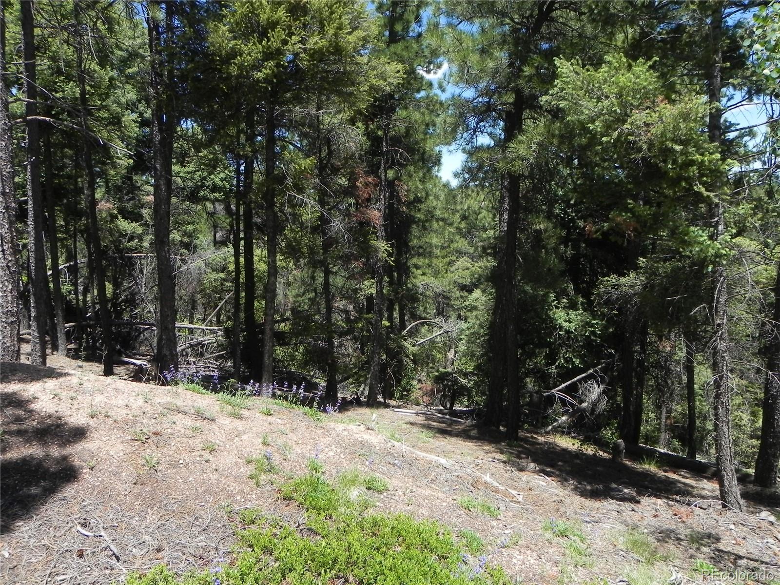 13910 Boulder Lane
