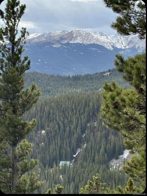 491 Hilltop Idaho Springs CO 80452