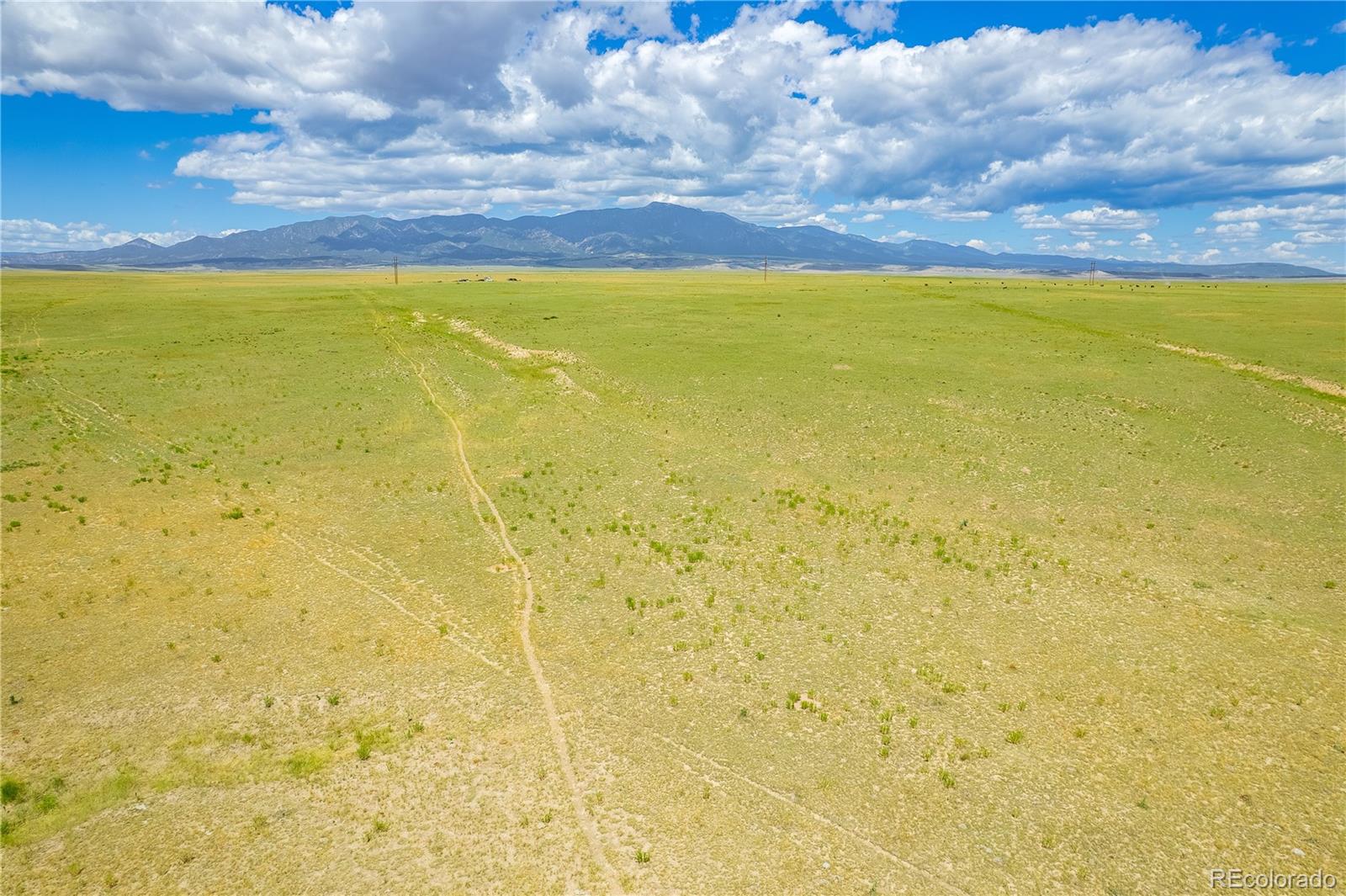 Lot 59 Colorado Land and Livestock