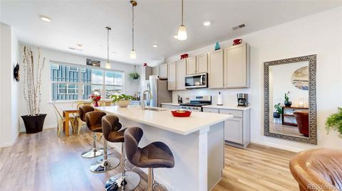 7008 Ipswich Court Castle Pines Co 80108