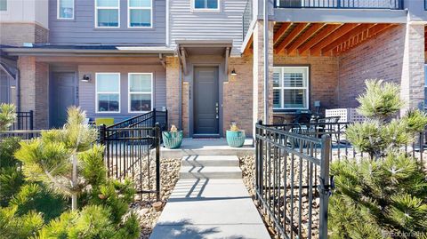 7008 Ipswich Court Castle Pines CO 80108