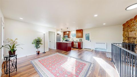 Photo of 225 Renaud Road, Bailey, CO 80421 (MLS # 4533945)
