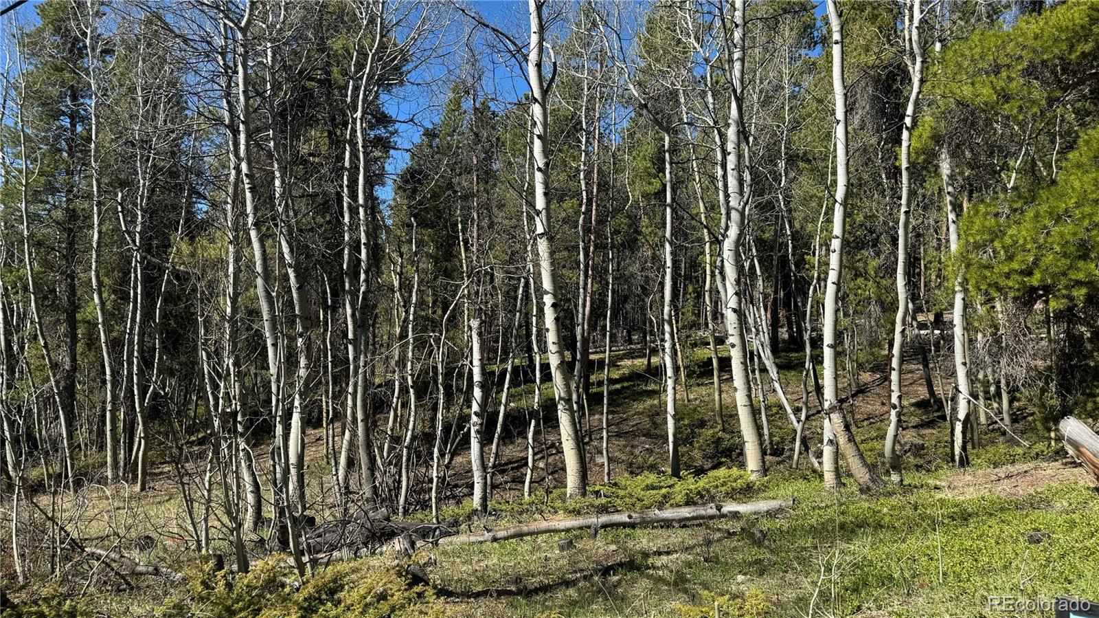 002 Tiber Road
