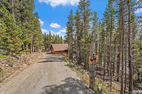 136 Nebraska Drive Idaho Springs CO 80452