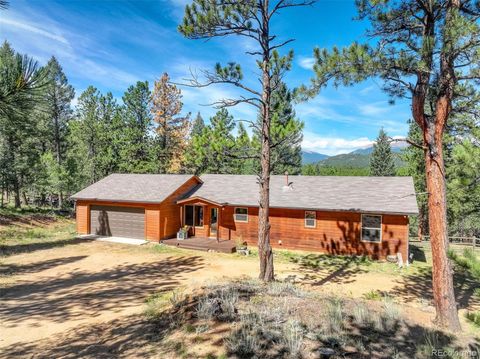 307 Hitchrack Road, Bailey, CO 80421 - #: 8844366