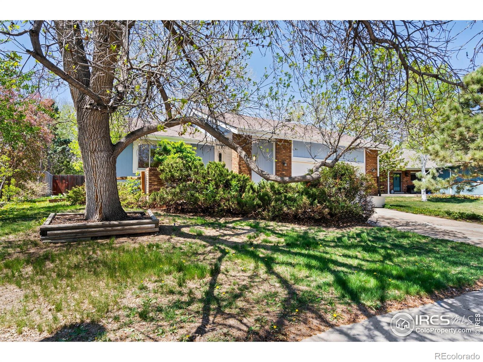 3319 Pepperwood Lane