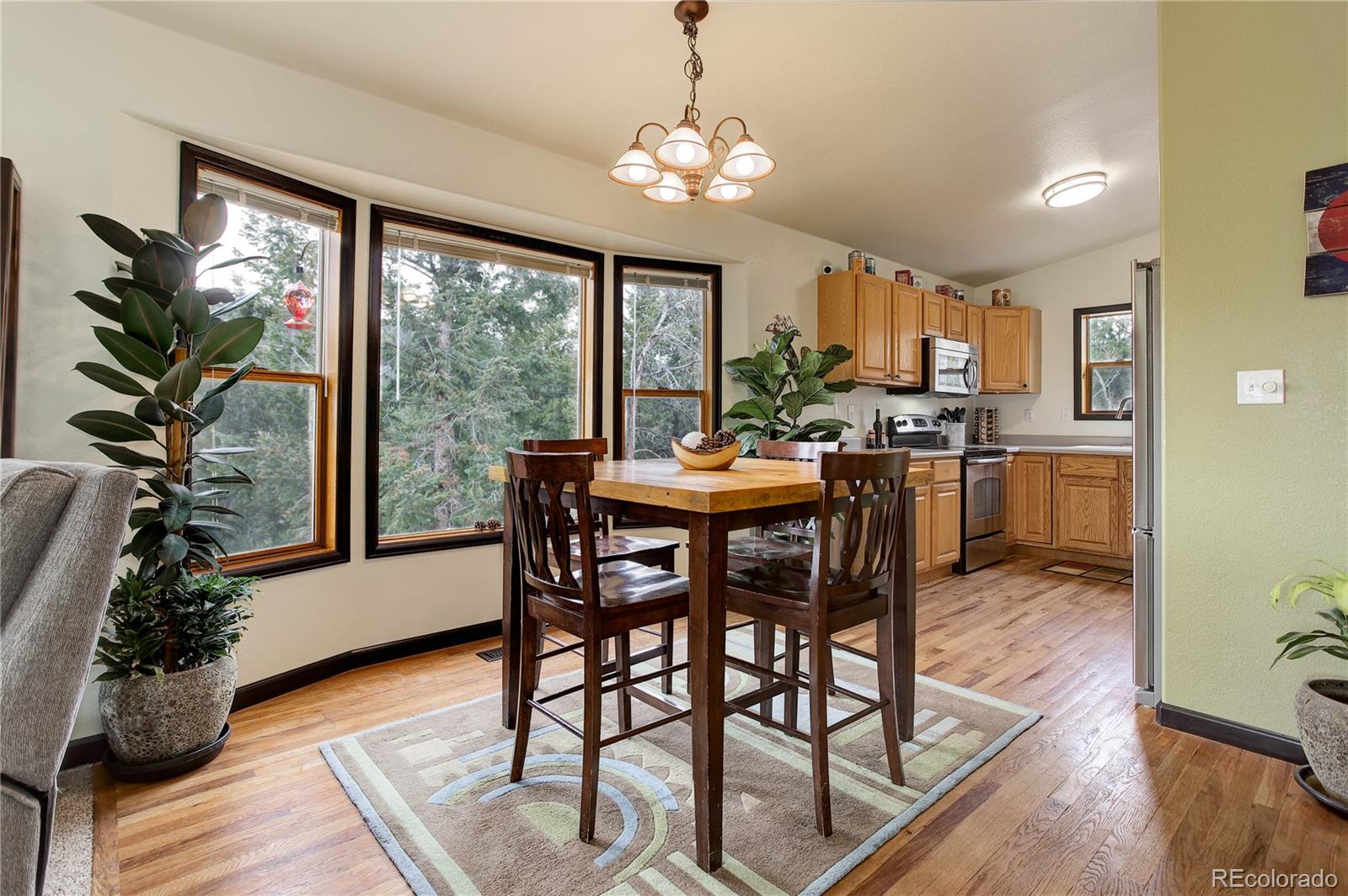 234 Bailey Drive, Bailey, CO, 80421 4 234 Bailey Drive