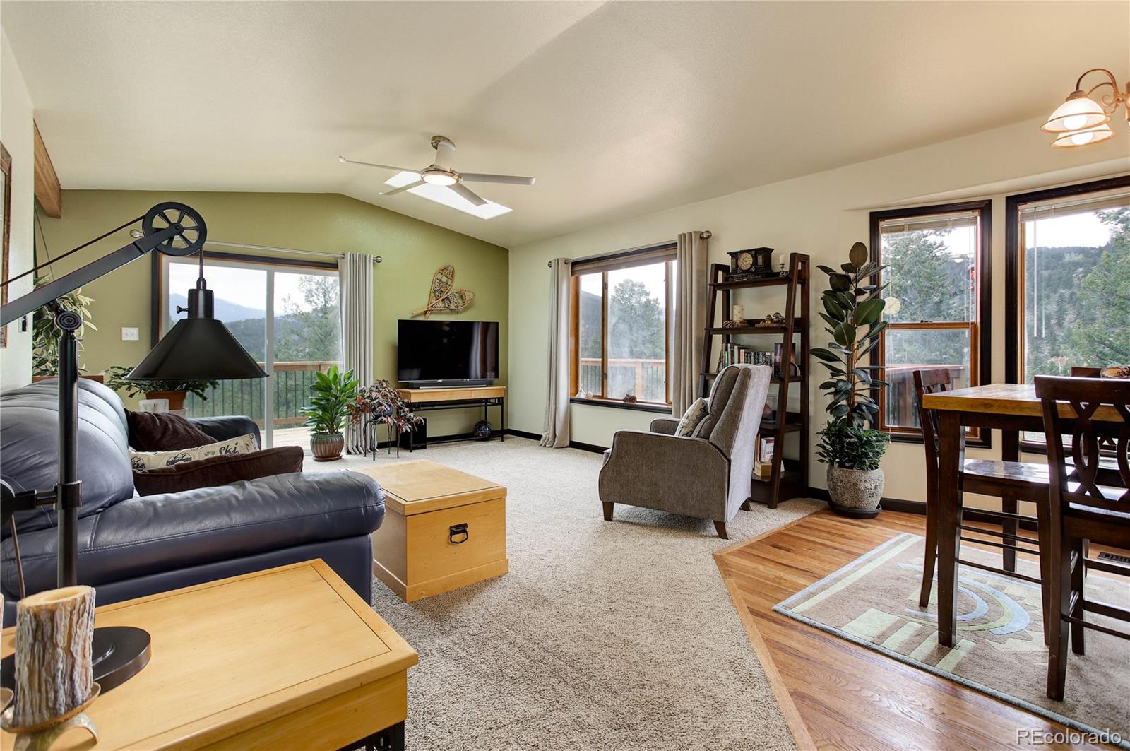 234 Bailey Drive, Bailey, CO, 80421 3 234 Bailey Drive