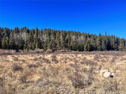 610 Lakeside Drive, Fairplay, CO 80440 - #: 8095767