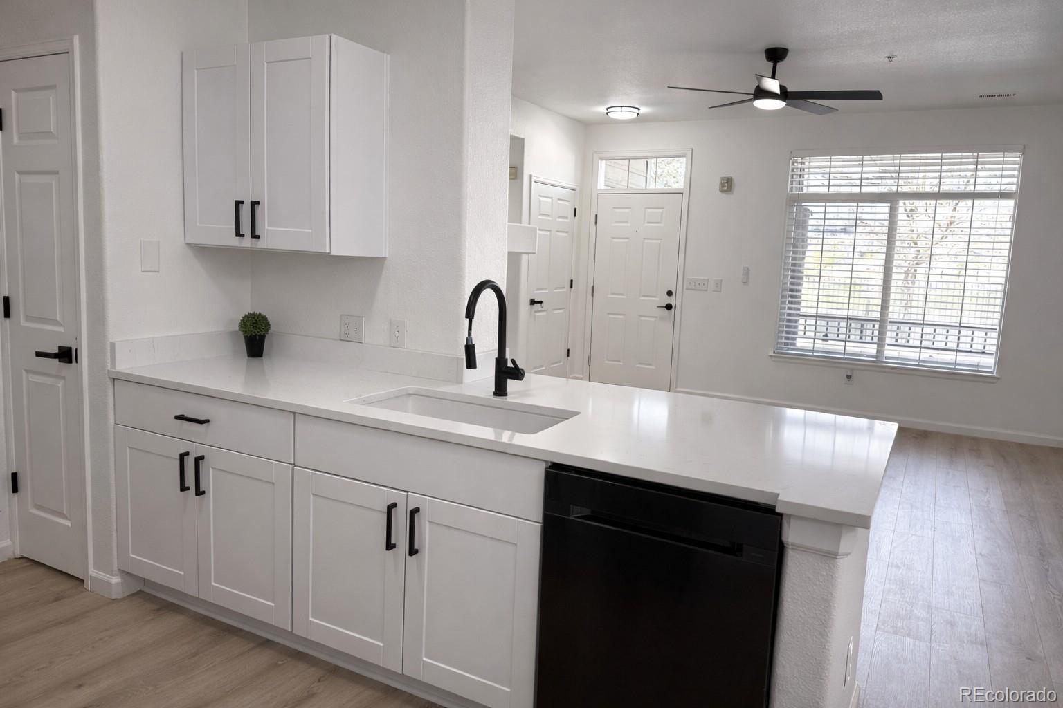 494 Black Feather Loop 106