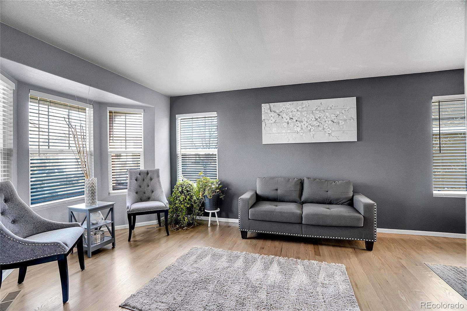 4410 Mt Princeton Street