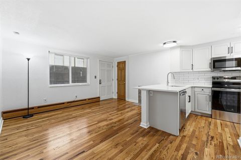 336 N Grant Street 310 Denver CO 80203