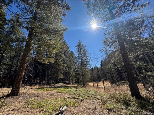 S WALLACE AVE, CONIFER, CO 80433 - Image c898f12d3a28b6b7d4f3b036fffeded3/1393753813