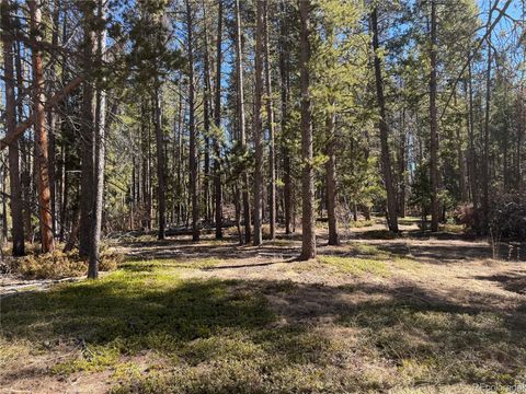 Lot 14X Wallace Avenue Conifer CO 80433