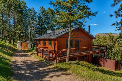 217 Catamount Ridge Road Bailey CO 80421