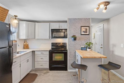 262 Marble Circle Golden CO 80401