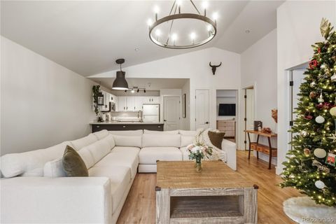 303 Pelican Circle 1906 Breckenridge CO 80424