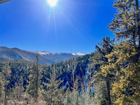 000 Ute Creek Road Idaho Springs CO 80452
