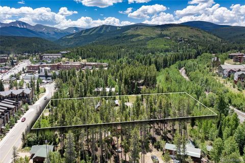 247 Lions Gate Drive Winter Park CO 80482