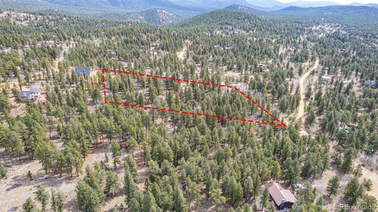 449 Forest Drive