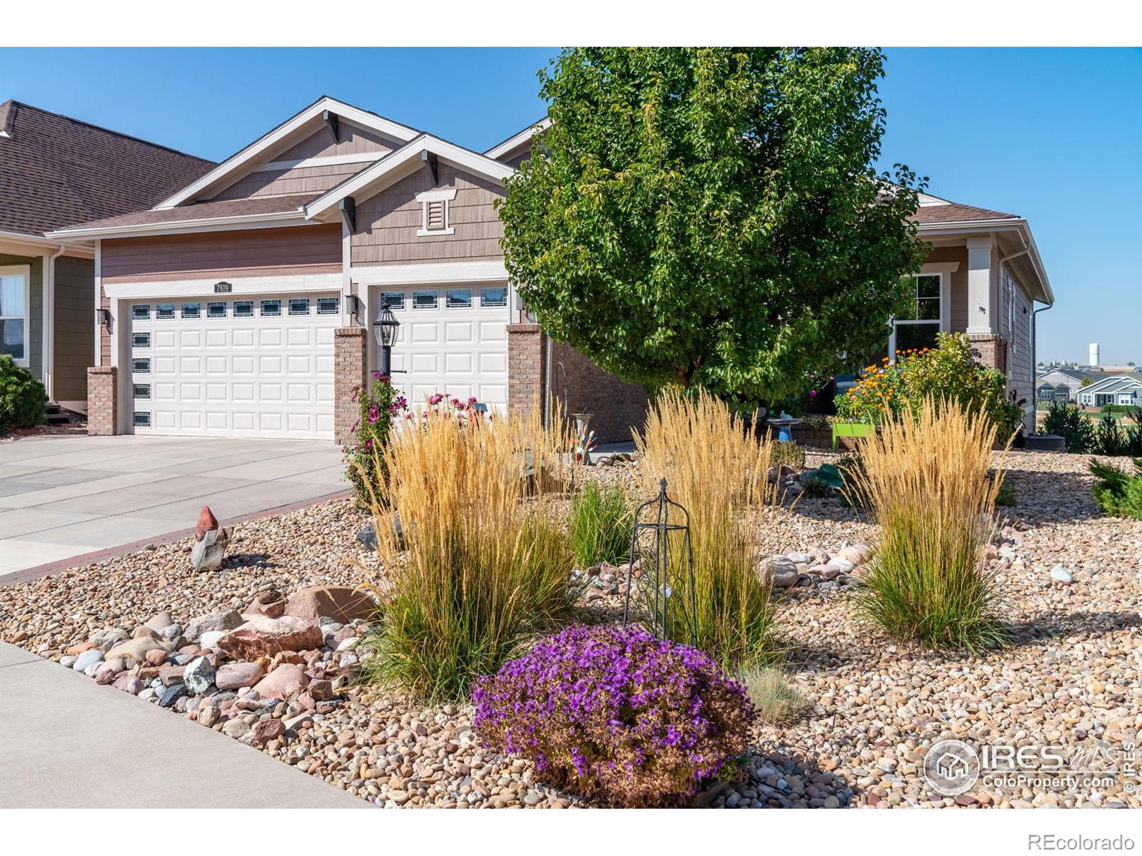 7819 Spruce Court