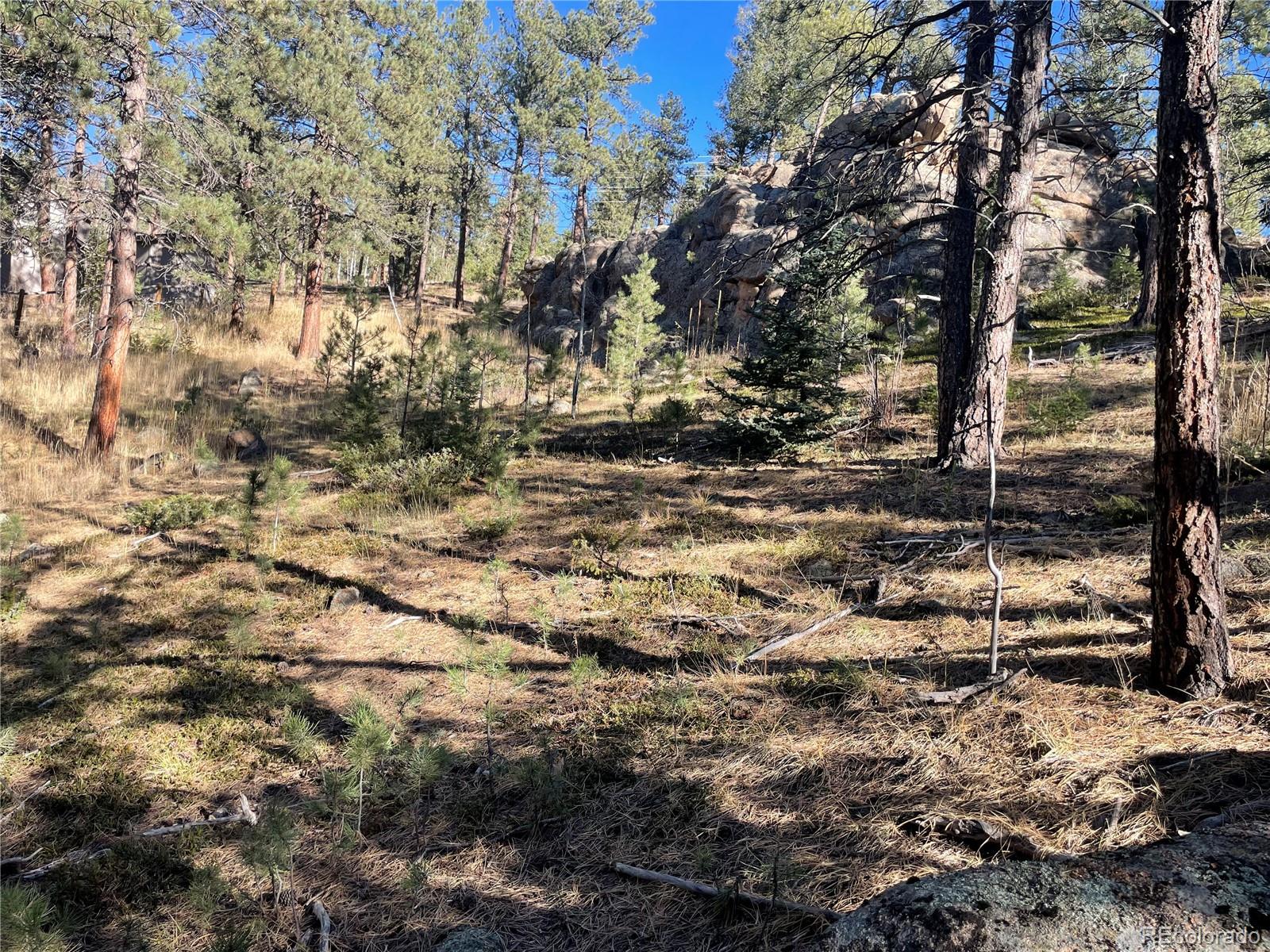 Shadow Mountain Drive