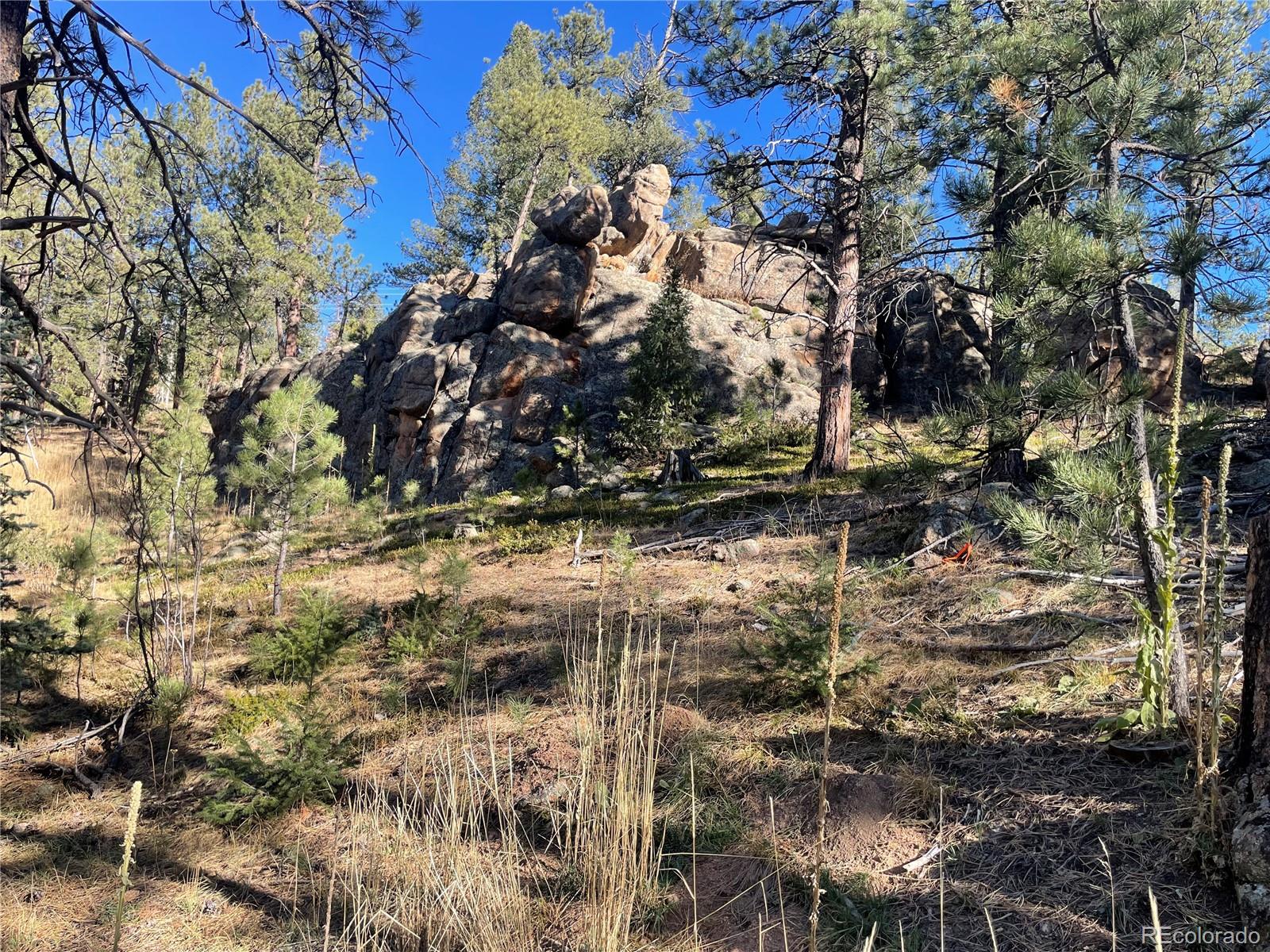 Shadow Mountain Drive