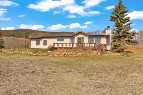 37 Warm Springs Road Fairplay CO 80440