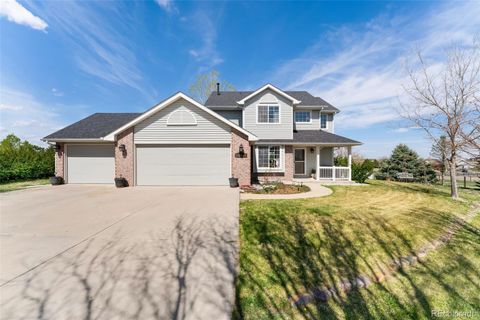 29145 E 160th Court Brighton CO 80603