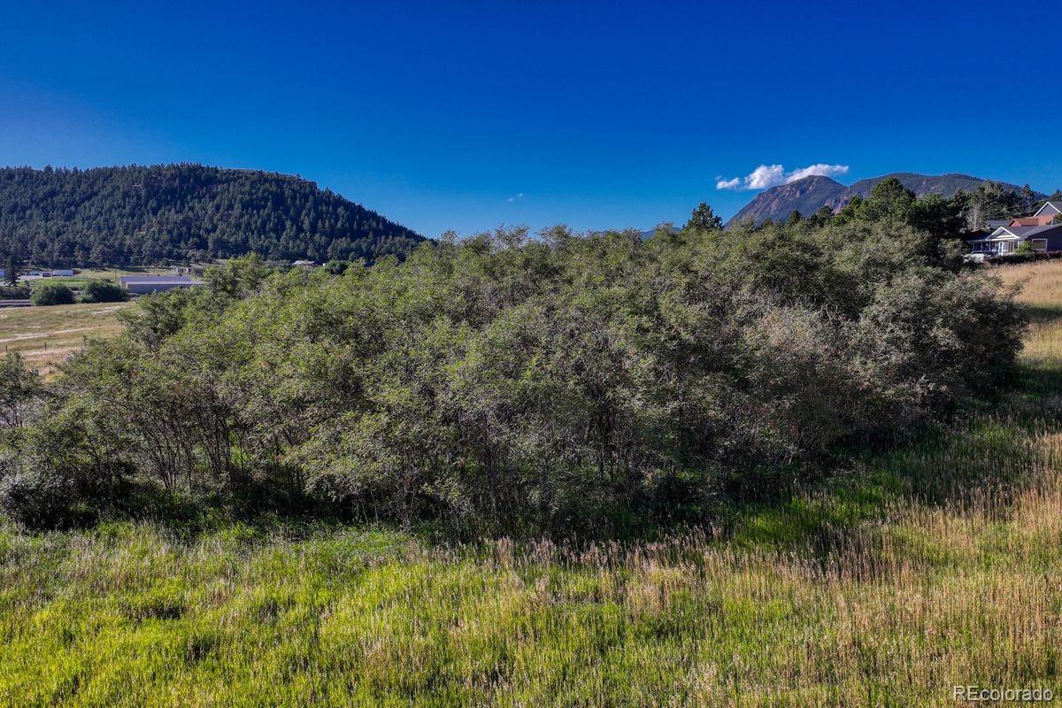 15989 S Perry Park Road