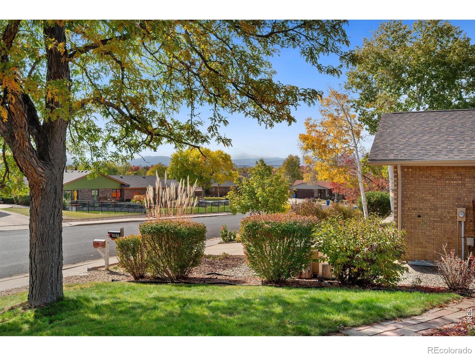 4951 Filbert Drive