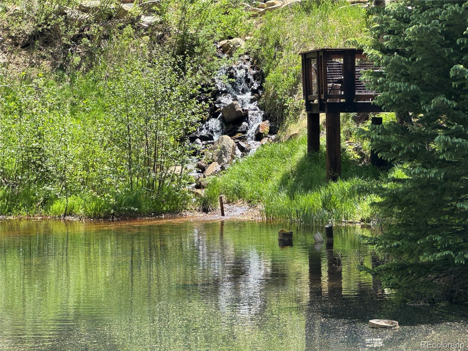 1430 Lower Travis Gulch Road