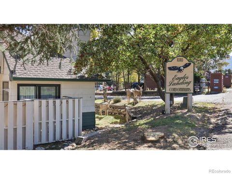 1010 S Saint Vrain Avenue 4 Estes Park CO 80517