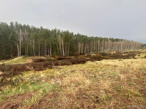 Unimproved Land in Florissant CO 1620 Park Ridge Drive 6.jpg